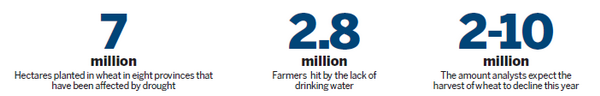 Crops and lifestyle withering in dry spell