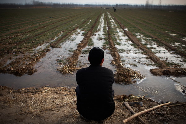 Crops and lifestyle withering in dry spell