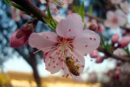 The joy of spring