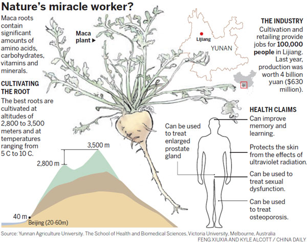 Farmers look to tap root's growing appeal