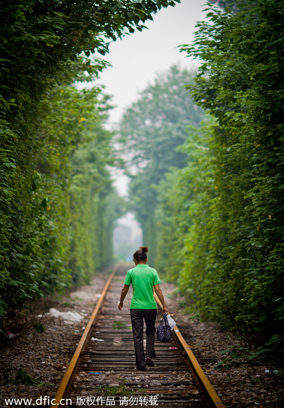 'Most naturally beautiful' railroad