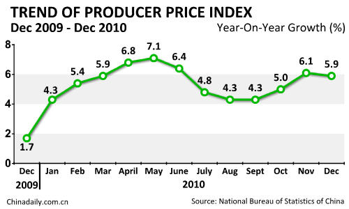 China's PPI up 5.5% in 2010