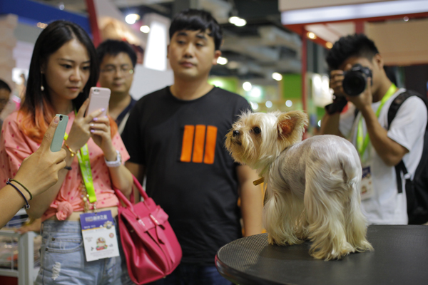 Animal lovers dote on furry families at fair