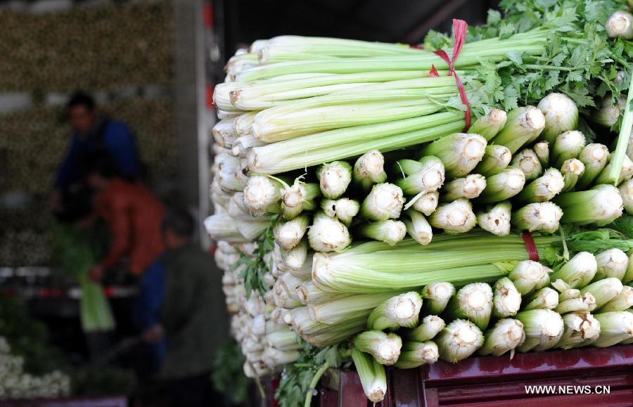 Celery crop concerns stalk Henan farmers