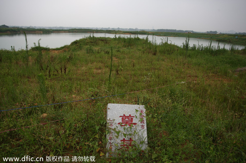 World's 'tallest' tower a watermelon field