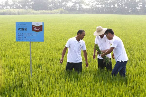 Agro-project aims for sustainable, efficient farming