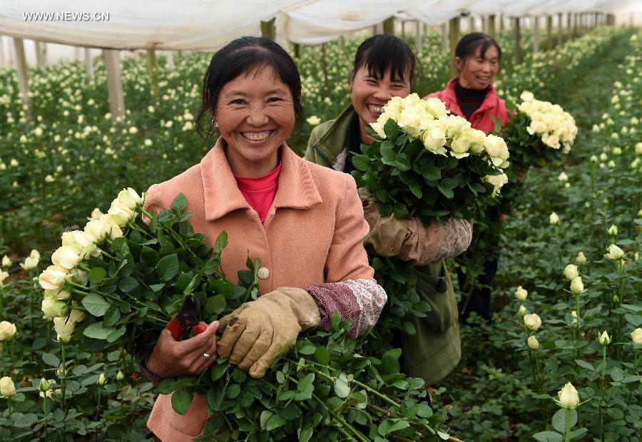 Flower business in Yunnan takes up 70% market in China