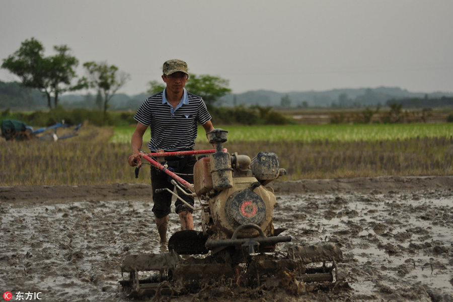 One man says goodbye to city job to farm back home