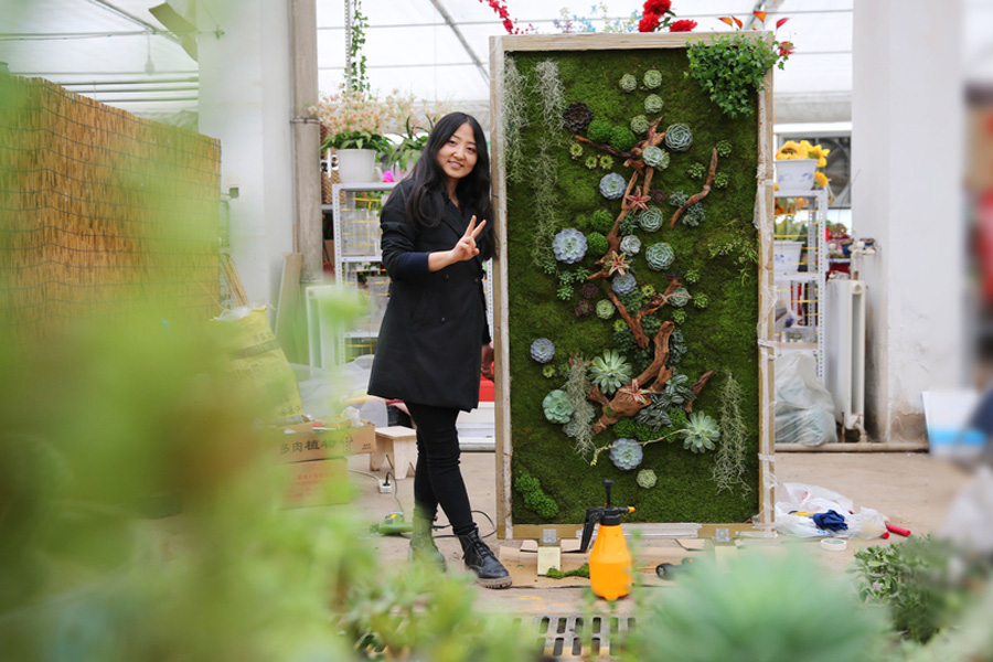 Florist turns live succulents into wall art