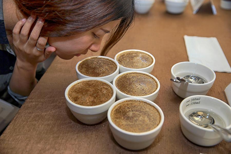 A glimpse of coffee exchange in Chongqing