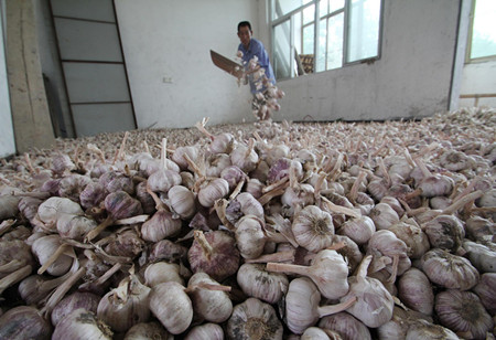 A good time to buy garlic