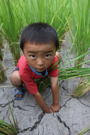 Severe drought brings misery to Hunan province