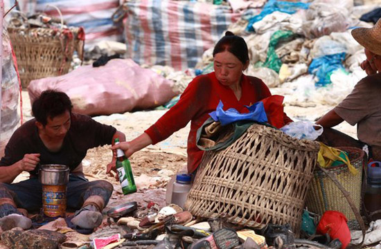 Landfill in Xi'an attracts treasure hunters