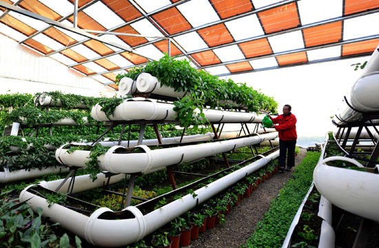 Solar greenhouse boosts modern agriculture