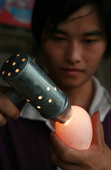 College graduate breeding a future in the mountains