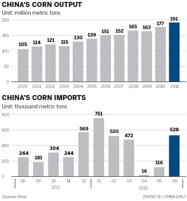 Pest 'affect little' on corn production