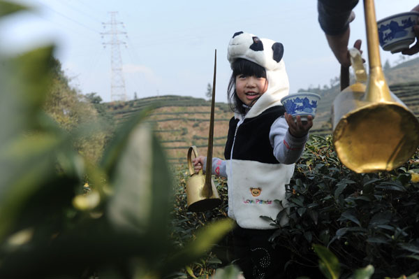 Panda poo tea fertilization time