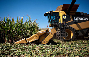 Government forecasts bumper grain harvest