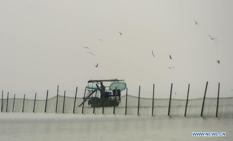 Fishing season of Taihu Lake begins