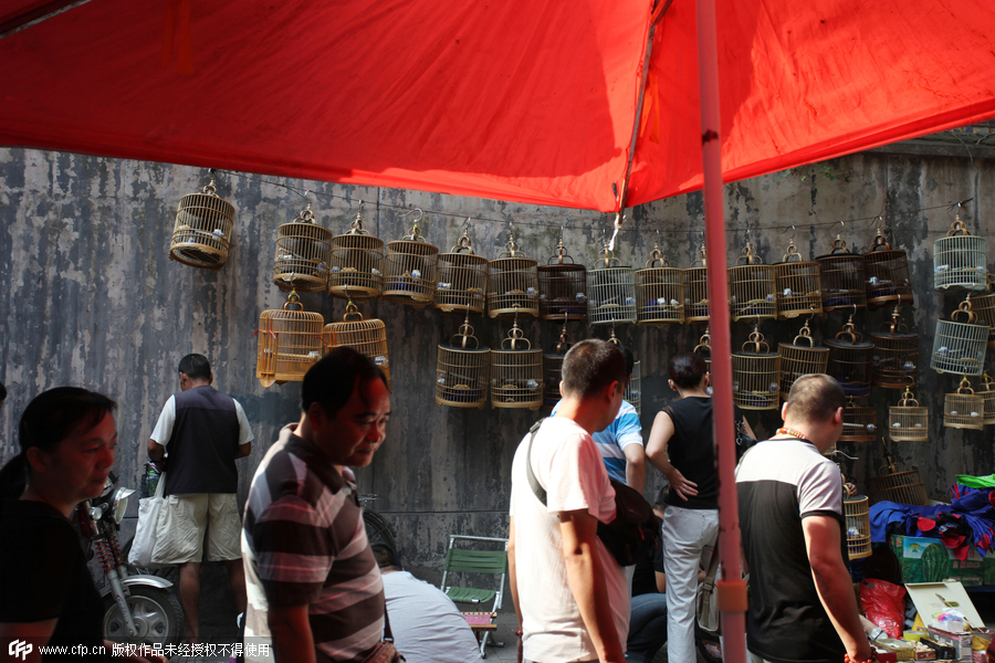 Bird market hidden in Xi’an ancient street