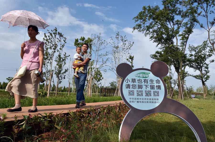 Wetland helps preserve ecology of Dianchi Lake