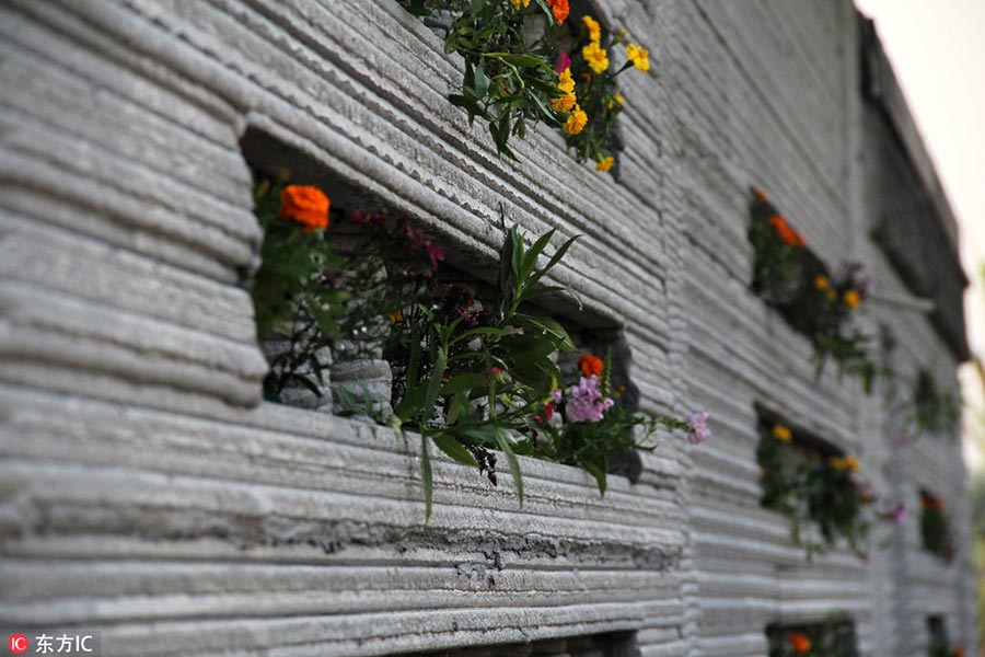 Village in Shandong unveils 3D-printed villas