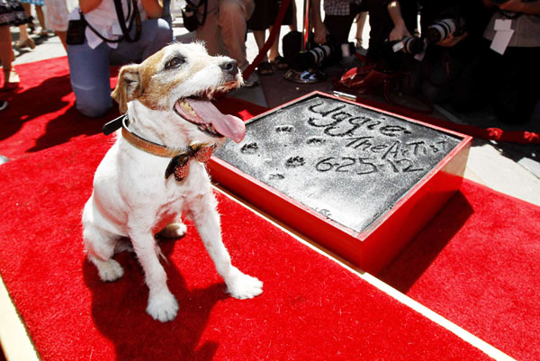 Dog Uggie's moment