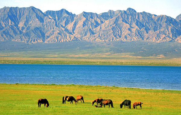 Summer views of Qinghai