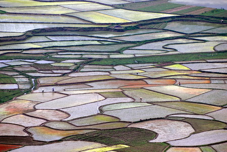 Spring paints a pastoral canvas