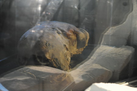 Ancient mammoths on display in Beijing