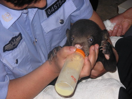 Anti-smuggle police save 6 bears on border