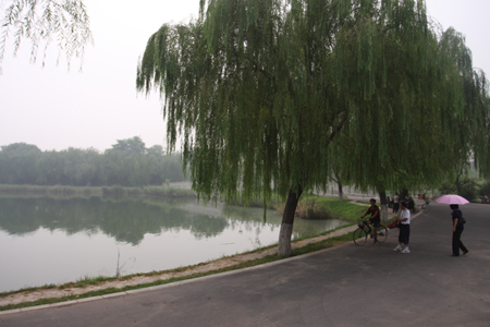 A landscape comes from a landfill in Tangshan