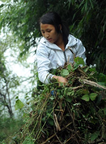 Filial girl, 15, receives award in Chongqing