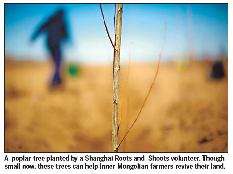 Building last line of defense against desert