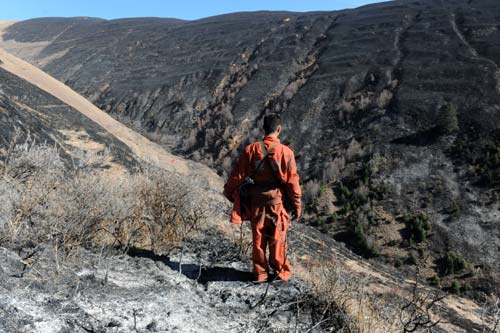 Technology may help save grasslands from fiery wrath