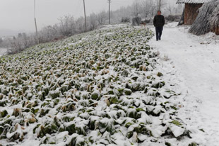 Special: Big freeze hits S China