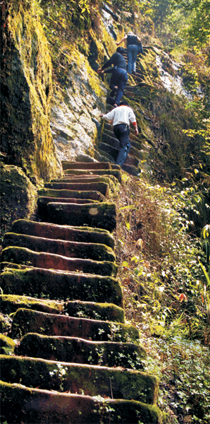 Ladder of Love destined to pass into posterity