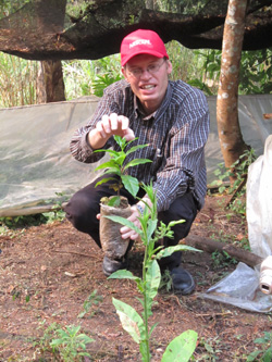 Nestle funds Yunnan coffee farmers for high quality