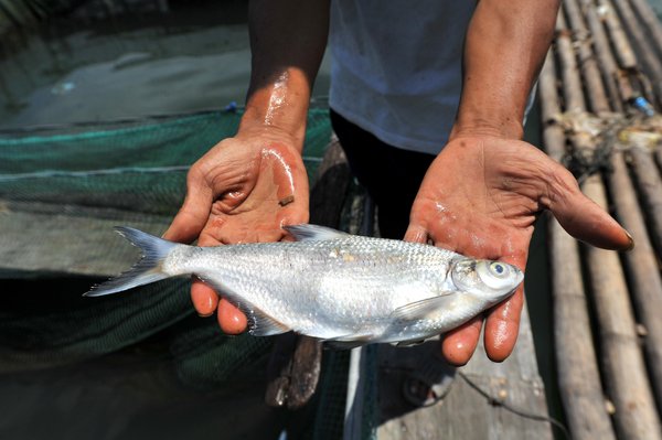 Mining enterprise led to river pollution