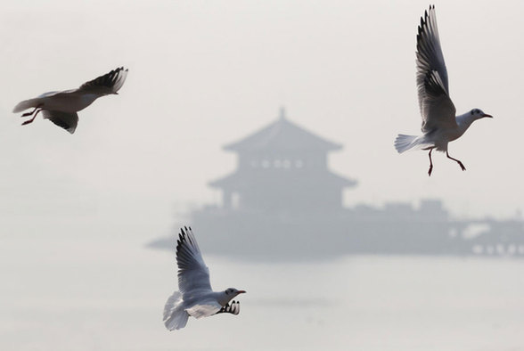 Smoggy days set records in Chinese cities