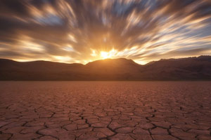 Gansu village tries to make the desert bloom