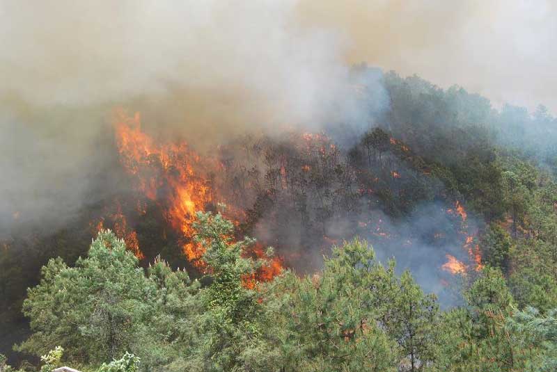 SW China forest fire burns for third day