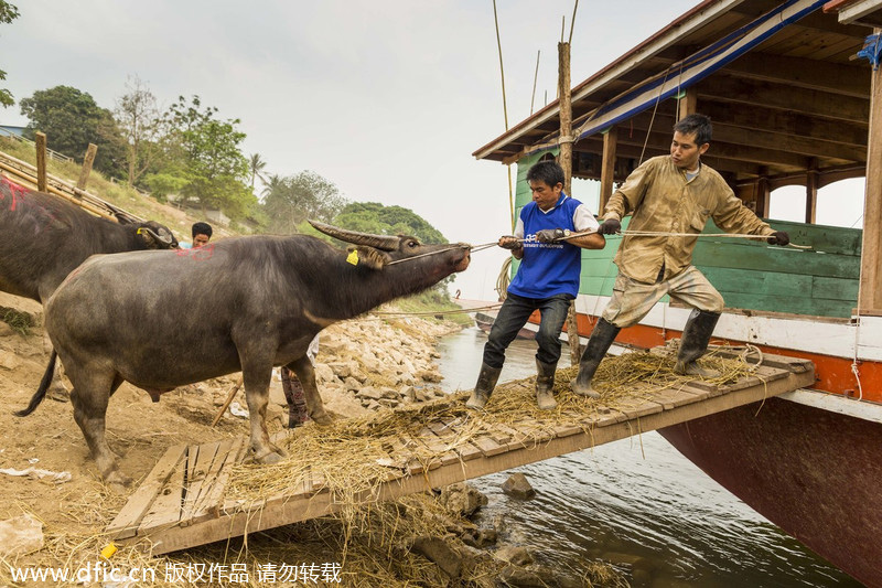 A closer look at China-Thailand trade