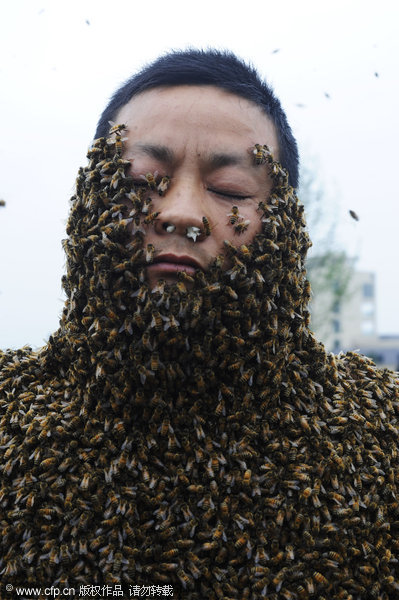 Jiangxi man abuzz over new Guinness bee record