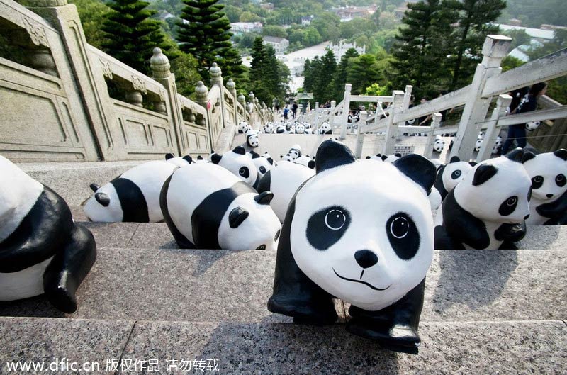 Pandas' 'pilgrimage' to Tian Tan Buddha