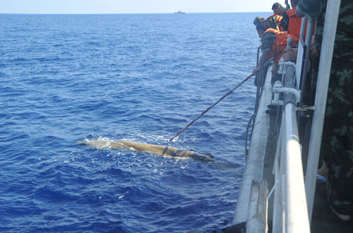 FM releases photos of Vietnam ship hitting Chinese patrol vessel