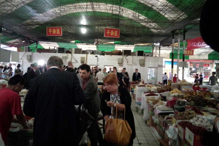 Merkel gets a taste of Chengdu in 7th China trip