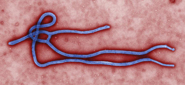 China strengthens customs checks against Ebola