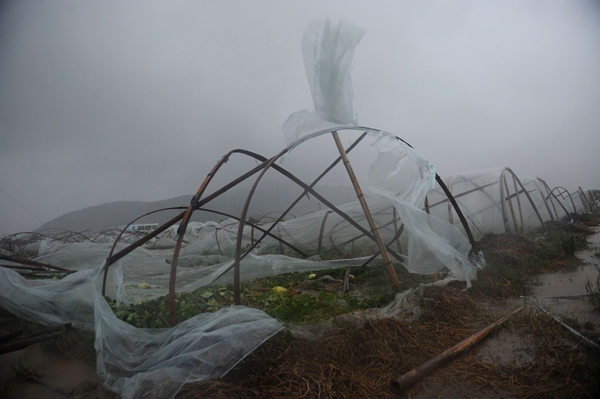 Typhoon Fung-Wong causes havoc in East China