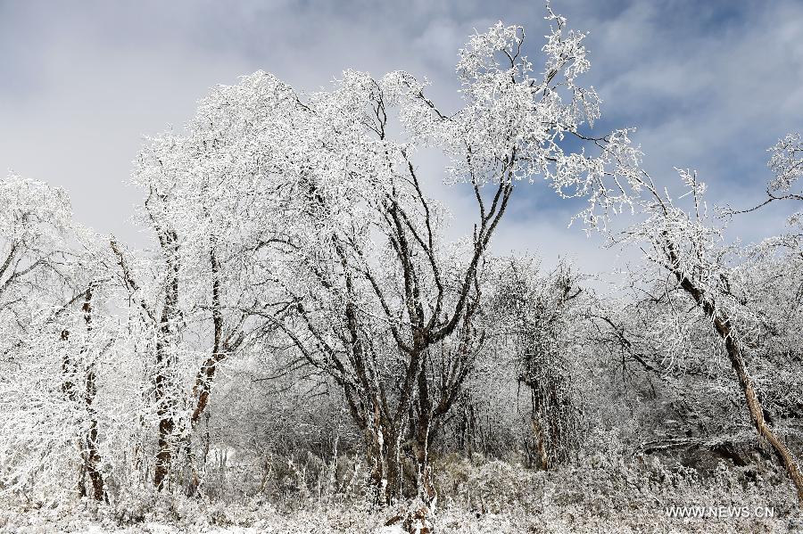 Sichuan witnesses first snow of 2015